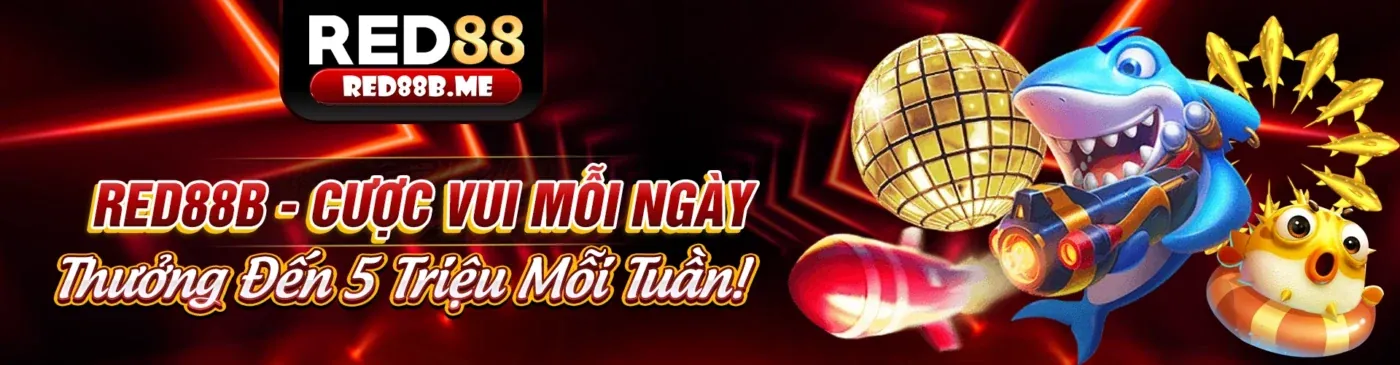 Hỗ trợ khách hàng Kubet88